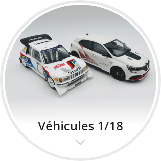 categorie-vehicules-1-18