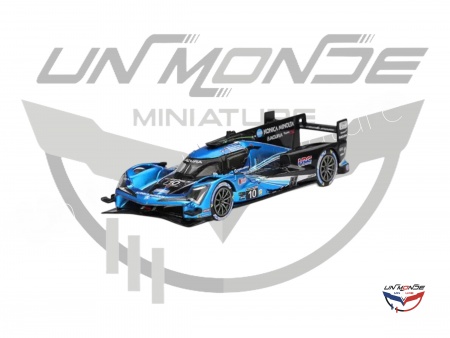 Acura ARX-06 GTP Wayne Taylor Racing With Andretti