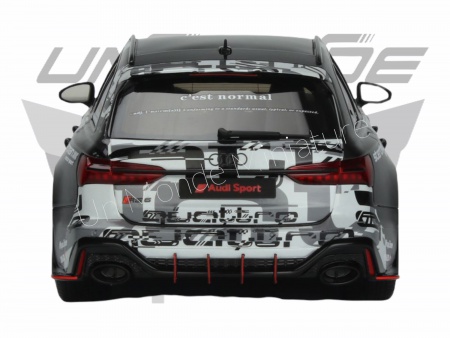 Audi RS 6 Avant Body KIT Camo