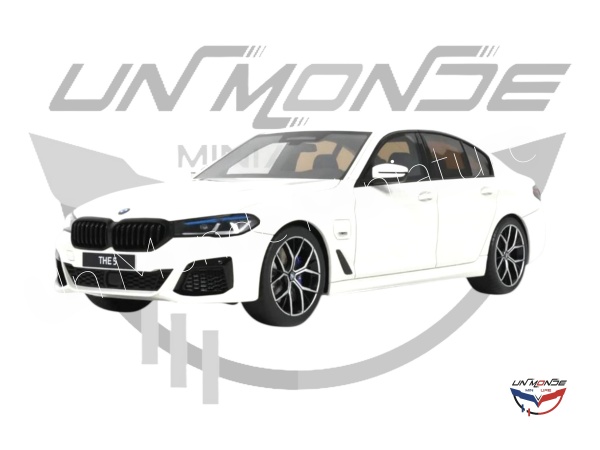 BMW 545E x DriveSaloon M Sort Alpine 202 White III