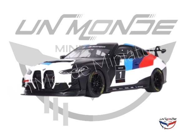 BMW M4 GT4 2022 White Presentation