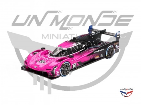 Cadillac V-Series.R #01 Cadillac Racing Petit Le Mans 2024
