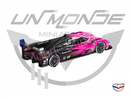 Cadillac V-Series.R #01 Cadillac Racing Petit Le Mans 2024