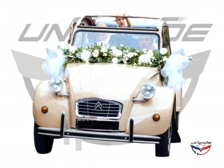 Citroen 2 CV 1986 Beige Cadeau Mariage