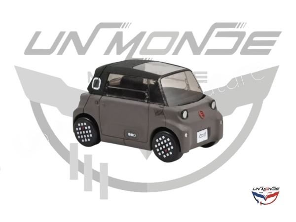 Citroen Ami 2025 Icy