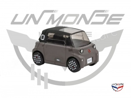 Citroen Ami 2025 Icy