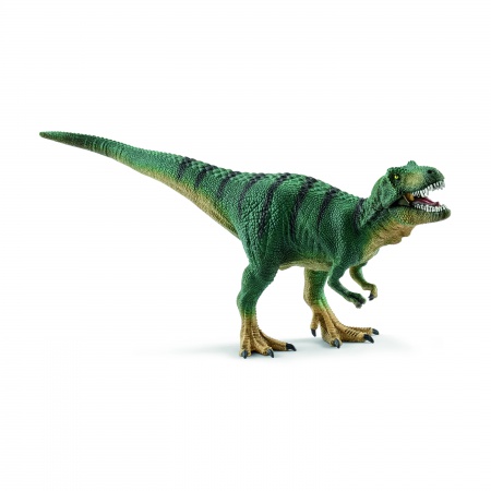 Jeune Tyrannosaure Rex