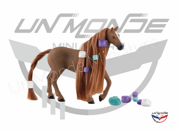 Jument Pur Sang Anglais Beauty Horse