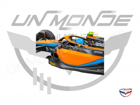 McLaren MCL36 L.NORRIS Orange 2022