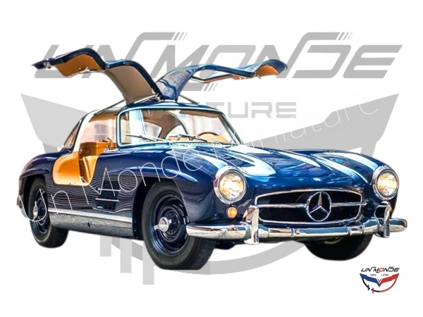 Mercedes-Benz 300 SL 1954 Bleu