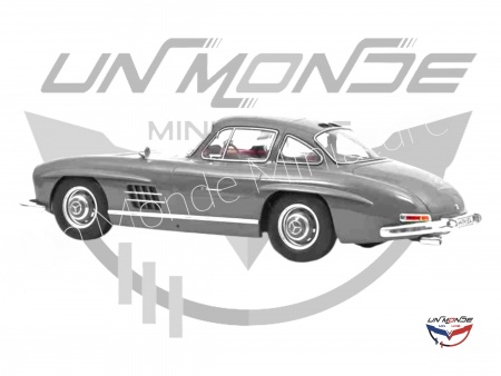 Mercedes-Benz 300 SL 1954 Graphite Grey