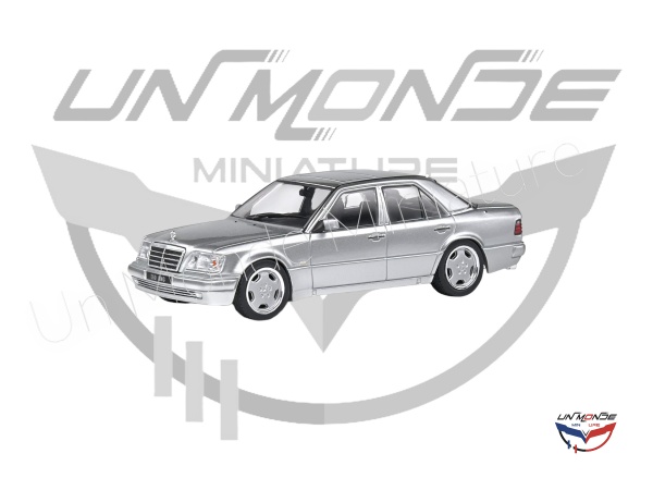Mercedes-Benz E60 AMG 1994 Silver