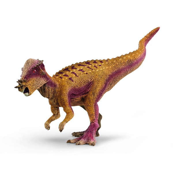 Pachycphalosaure