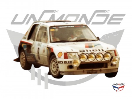 Peugeot 205 T16 1985 Rallye Monte Carlo #8 Bruno SABY