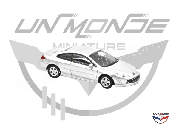 Peugeot 407 Coup 2006 Silver