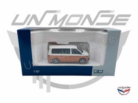 Volkswagen T6 Blanc & Bronze