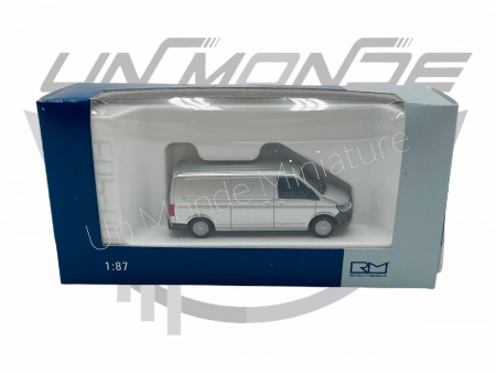 Volkswagen T6 Fourgon Grey