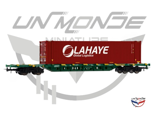 Wagon Porte-Conteneurs Sgnss Avec Conteneur de 45 pieds LAHAYE